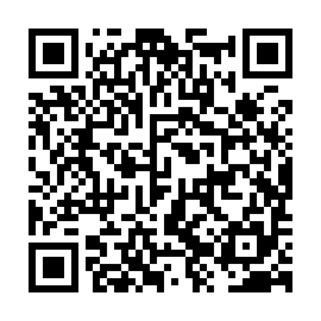 QR code for FZXY95