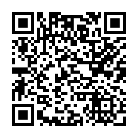 QR code for FZZ919