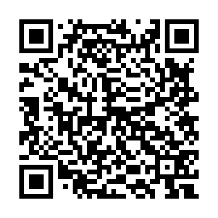 QR code for GER873