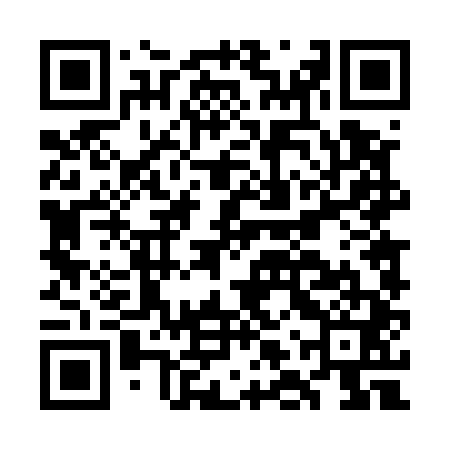 QR code for GLT541