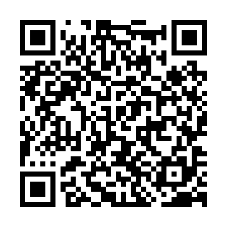 QR code for GNO295