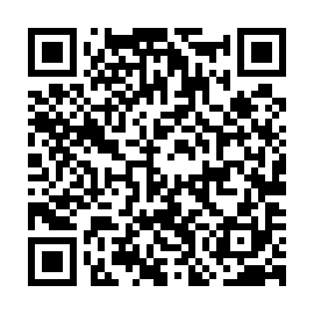 QR code for GOL590