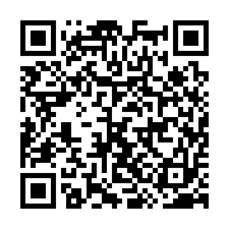 QR code for GSA313