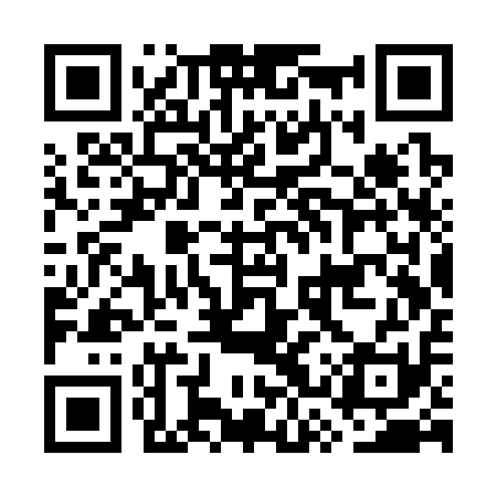 QR code for GSSS11