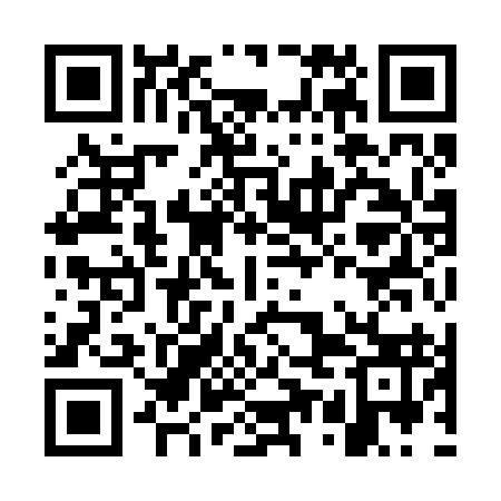QR code for GUI293