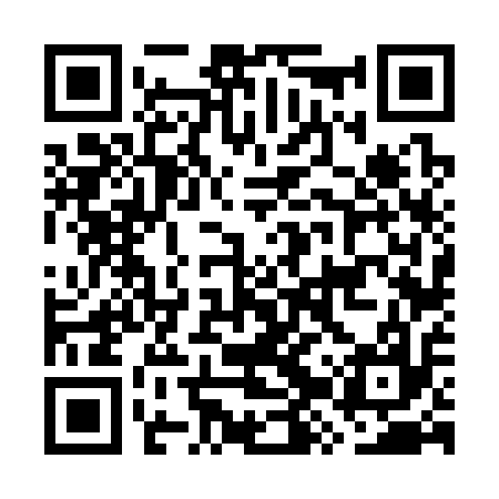 QR code for GZV317