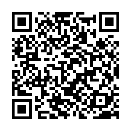 QR code for HAOX29
