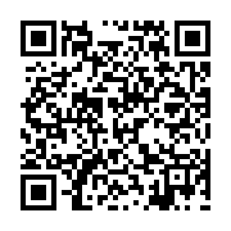 QR code for HCI307