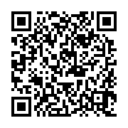 QR code for HDN382