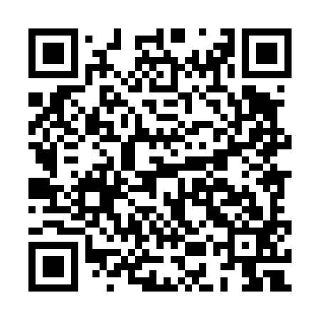 QR code for HEX493