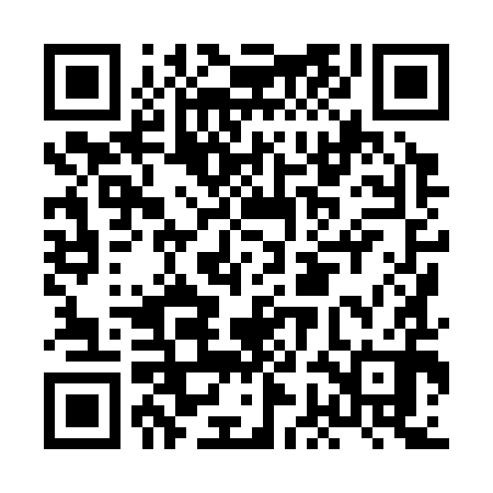 QR code for HGH390