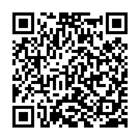 QR code for HHS498