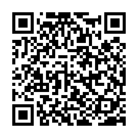 QR code for HIHE29
