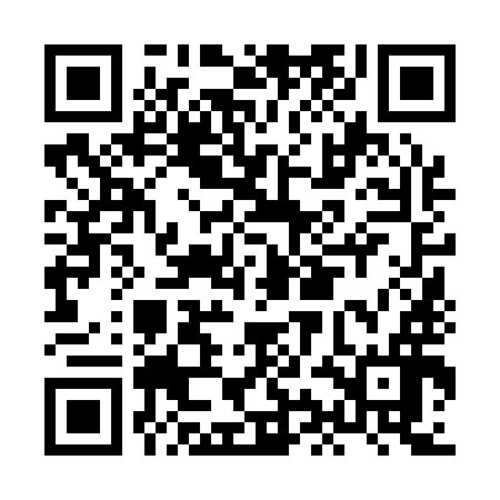 QR code for HIN196