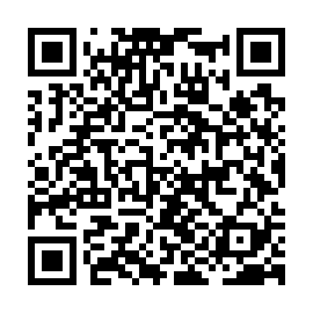QR code for HING29