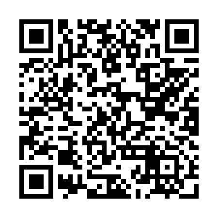 QR code for HJIF13