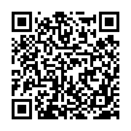 QR code for HKG656