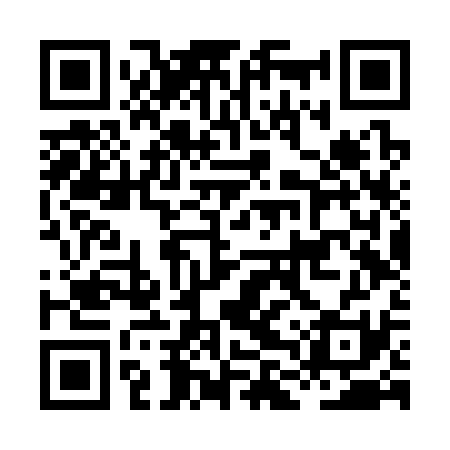 QR code for HLVS31