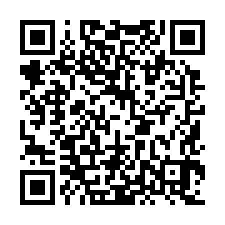 QR code for HLY383