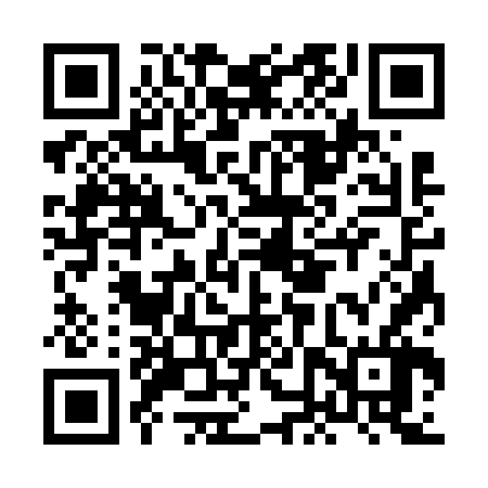 QR code for HNS666