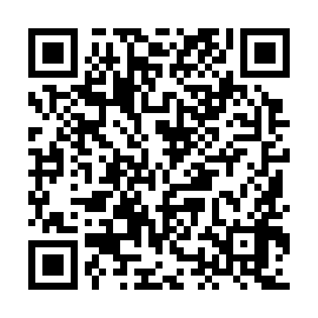 QR code for HOI398