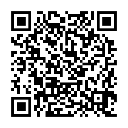 QR code for HOZ383