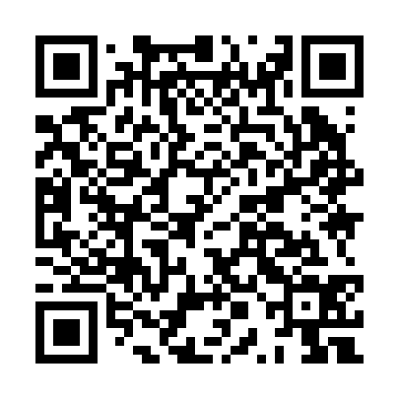 QR code for HPI234
