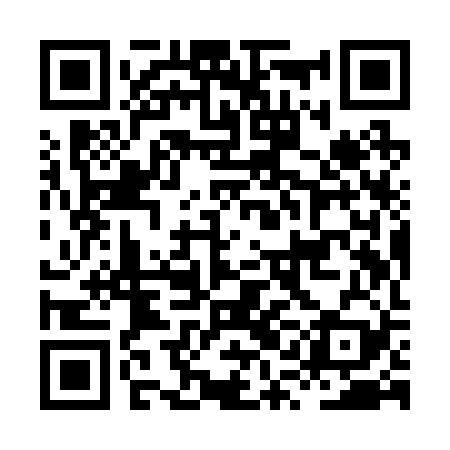 QR code for HQIR29