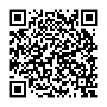 QR code for HQP295