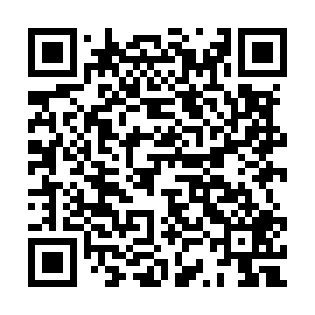 QR code for HSIM09