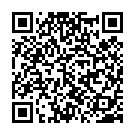 QR code for HUI419
