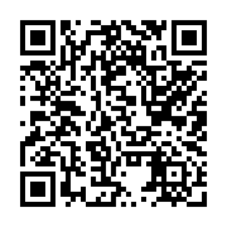 QR code for HUY291