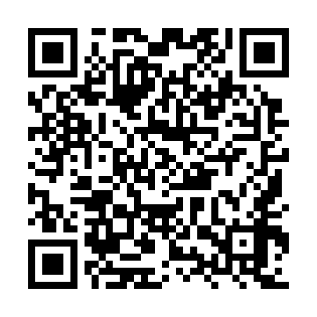 QR code for HYY358