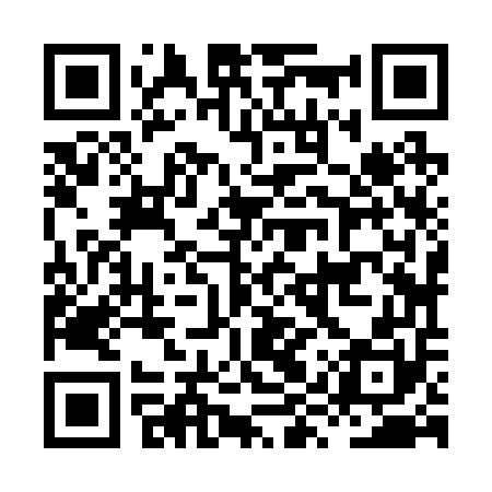 QR code for HYZ250