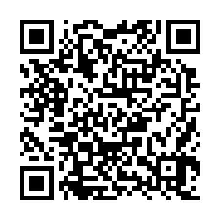 QR code for HYZ367