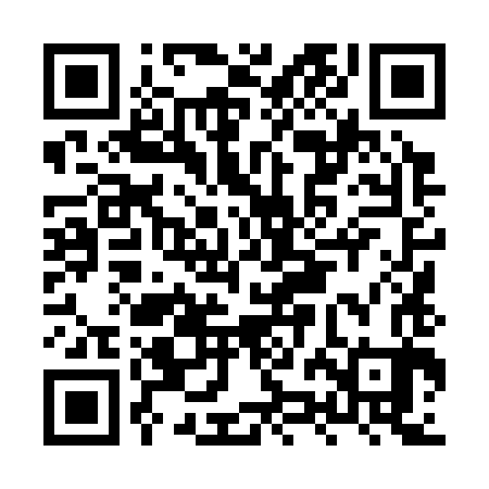 QR code for HZL383