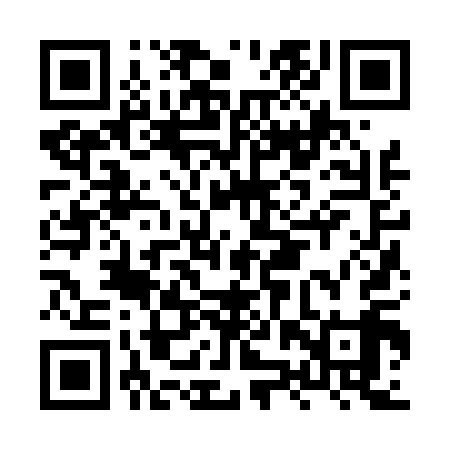 QR code for HZZ419