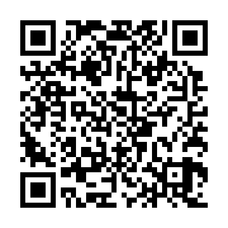 QR code for IAES29