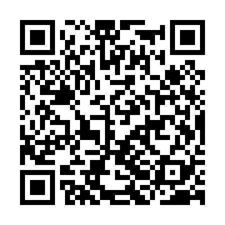 QR code for IBEP29
