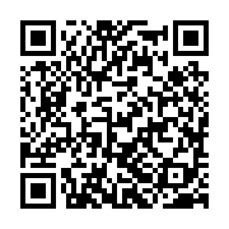 QR code for IBJ299