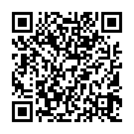 QR code for IBM409
