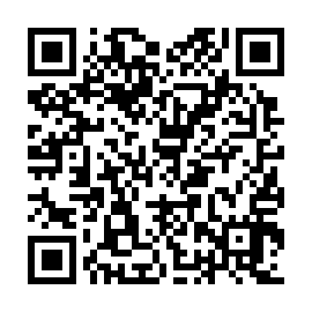 QR code for IBV317