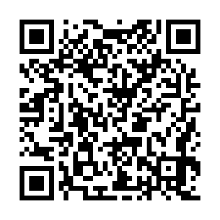 QR code for IBZ173