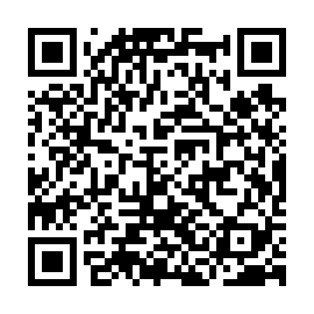 QR code for ICAV29
