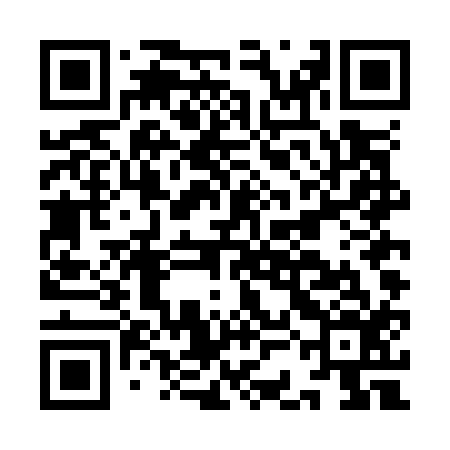 QR code for ICDO16
