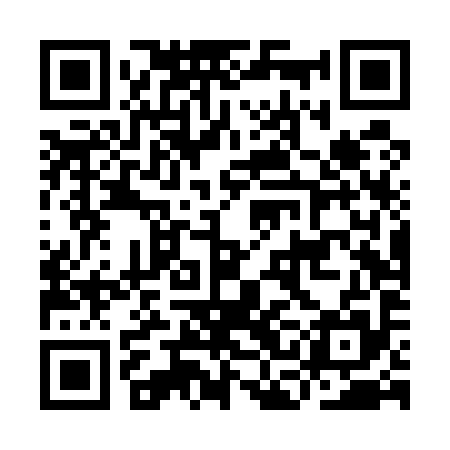 QR code for ICDU95