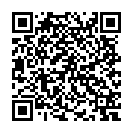 QR code for ICGO20