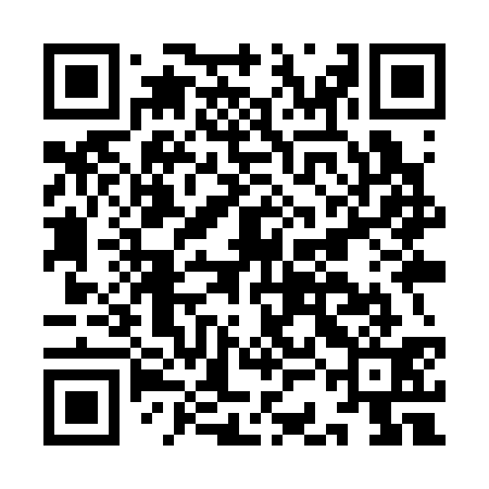 QR code for ICIS31