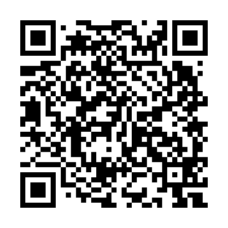 QR code for ICO699