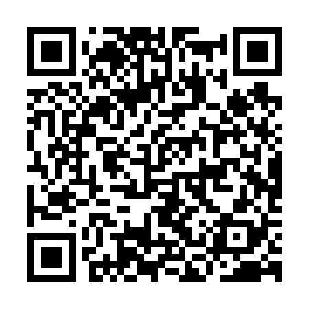 QR code for ICPV28